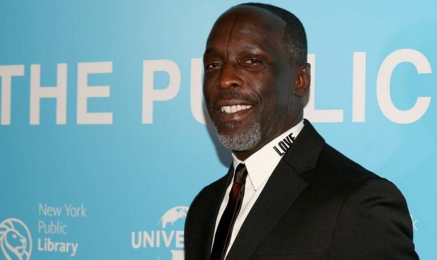 The Wire actor Michael K Williams died of drug overdose, says autopsy report