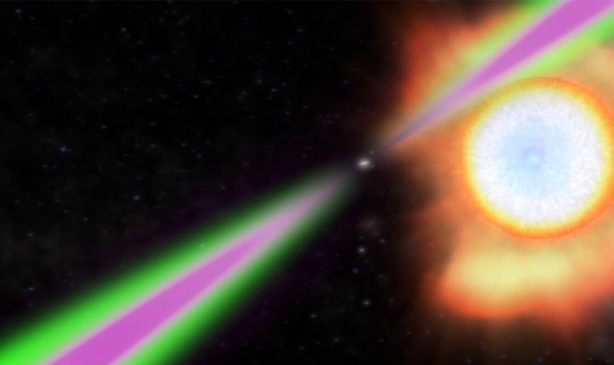 Astronomers identify new ‘black widow’ system with a cannibalistic pulsar