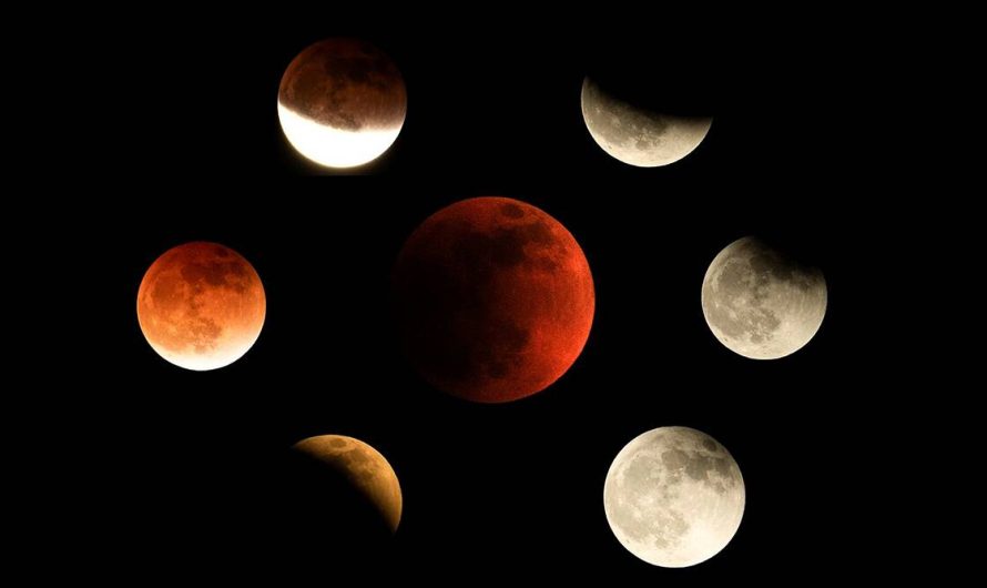 A look at upcoming solar, lunar eclipses and meteor showers