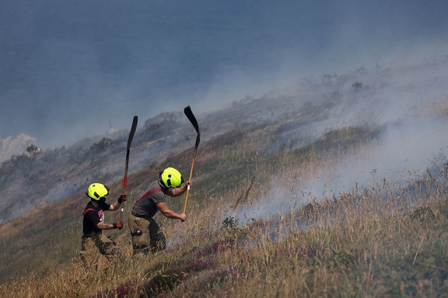 Britain counts cost of historic heatwave as 13 die